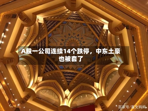 A股一公司连续14个跌停，中东土豪也被套了-第2张图片