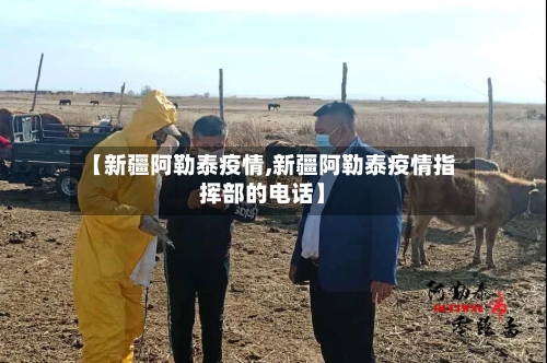 【新疆阿勒泰疫情,新疆阿勒泰疫情指挥部的电话】