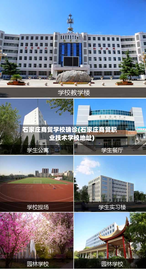 石家庄商贸学校确诊(石家庄商贸职业技术学校地址)-第3张图片