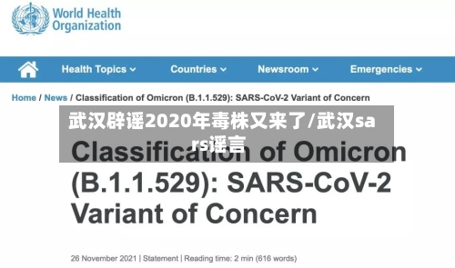 武汉辟谣2020年毒株又来了/武汉sars谣言-第2张图片