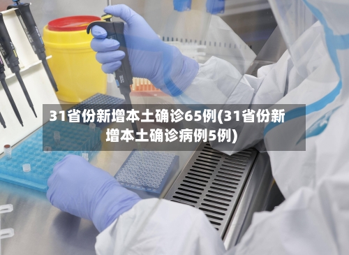 31省份新增本土确诊65例(31省份新增本土确诊病例5例)
