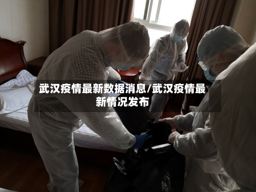 武汉疫情最新数据消息/武汉疫情最新情况发布-第2张图片