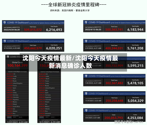 沈阳今天疫情最新/沈阳今天疫情最新消息确诊人数-第2张图片