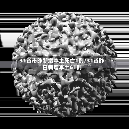 31省市昨新增本土死亡1例/31省昨日新增本土61例-第2张图片