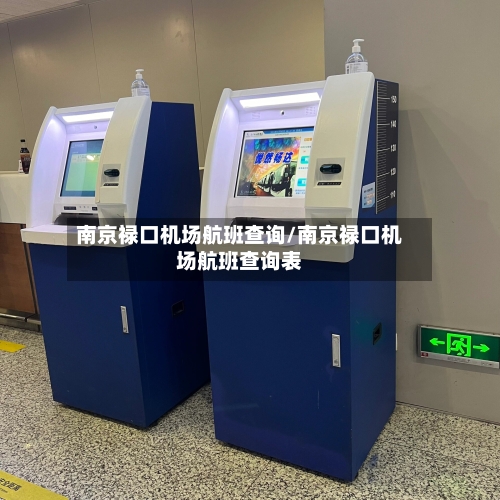 南京禄口机场航班查询/南京禄口机场航班查询表-第3张图片