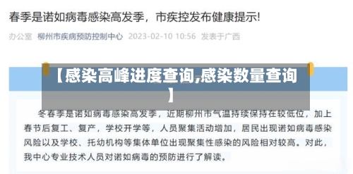 【感染高峰进度查询,感染数量查询】-第2张图片