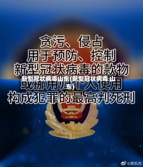 新型冠状病毒山东(新型冠状病毒 山东)