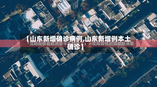 【山东新增确诊病例,山东新增例本土确诊】-第3张图片