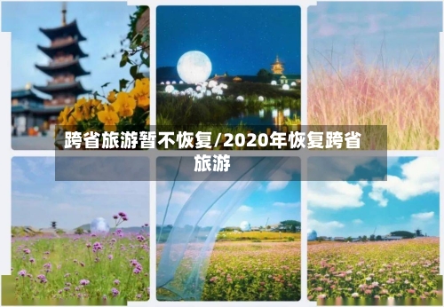 跨省旅游暂不恢复/2020年恢复跨省旅游-第2张图片