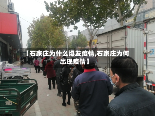 【石家庄为什么爆发疫情,石家庄为何出现疫情】-第2张图片