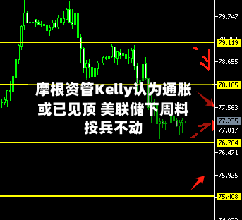 摩根资管Kelly认为通胀或已见顶 美联储下周料按兵不动-第3张图片