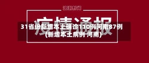 31省份新增本土确诊110例河南87例(新增本土病例 河南)