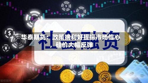 华泰期货：政策端利好提振市场信心	，硅价大幅反弹-第2张图片