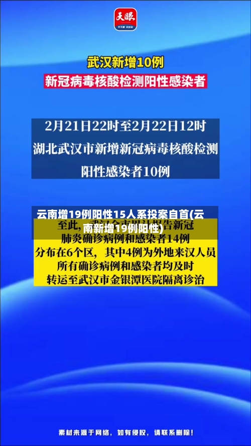 云南增19例阳性15人系投案自首(云南新增19例阳性)