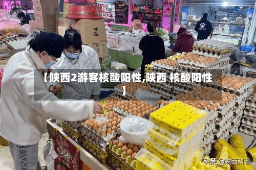 【陕西2游客核酸阳性,陕西 核酸阳性】