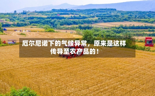 厄尔尼诺下的气候异常，原来是这样传导至农产品的！