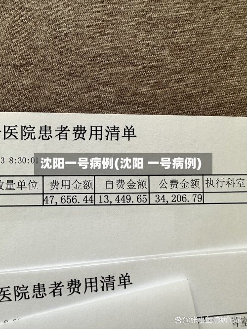 沈阳一号病例(沈阳 一号病例)