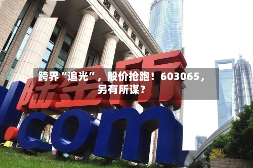 跨界“追光	”	，股价抢跑！603065，另有所谋？-第2张图片