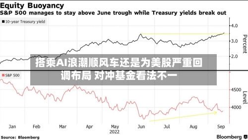 搭乘AI浪潮顺风车还是为美股严重回调布局 对冲基金看法不一-第2张图片
