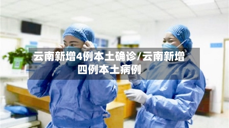 云南新增4例本土确诊/云南新增四例本土病例-第2张图片