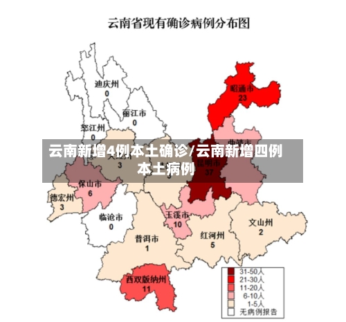 云南新增4例本土确诊/云南新增四例本土病例-第3张图片