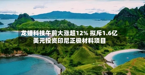 龙蟠科技午前大涨超12% 拟斥1.6亿美元投资印尼正极材料项目-第2张图片