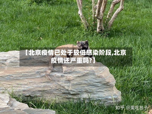 【北京疫情已处于较低感染阶段,北京疫情还严重吗?】