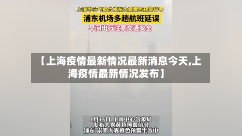 【上海疫情最新情况最新消息今天,上海疫情最新情况发布】-第2张图片