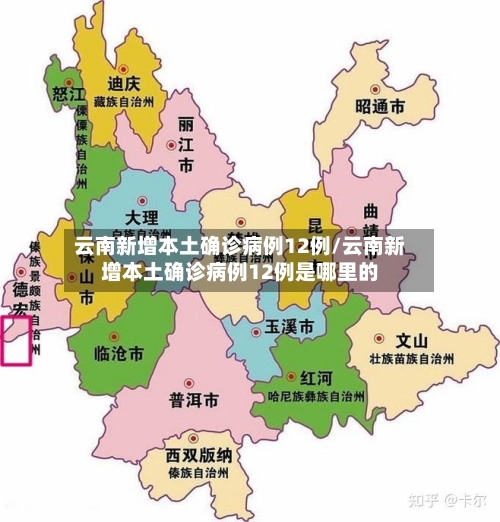 云南新增本土确诊病例12例/云南新增本土确诊病例12例是哪里的-第2张图片