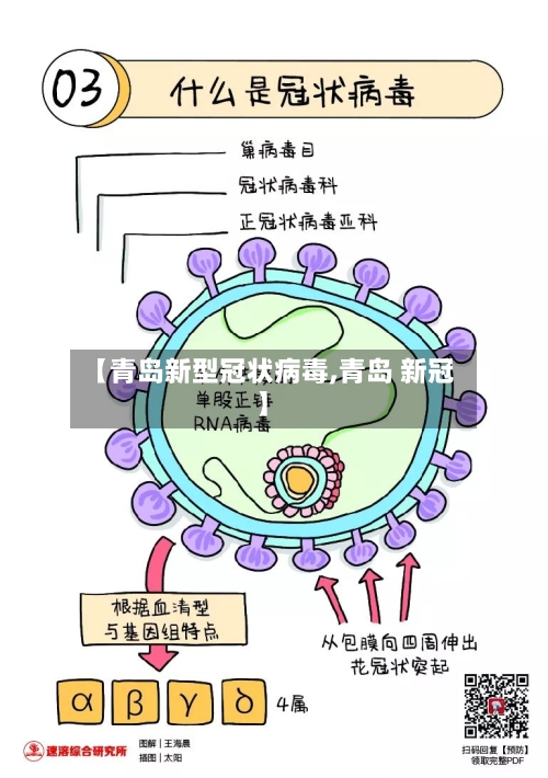 【青岛新型冠状病毒,青岛 新冠】-第2张图片
