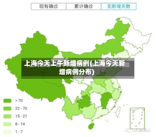 上海今天上午新增病例(上海今天新增病例分布)