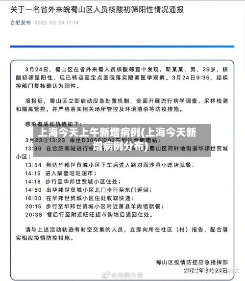 上海今天上午新增病例(上海今天新增病例分布)-第2张图片