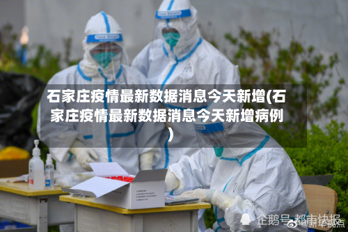 石家庄疫情最新数据消息今天新增(石家庄疫情最新数据消息今天新增病例)-第2张图片