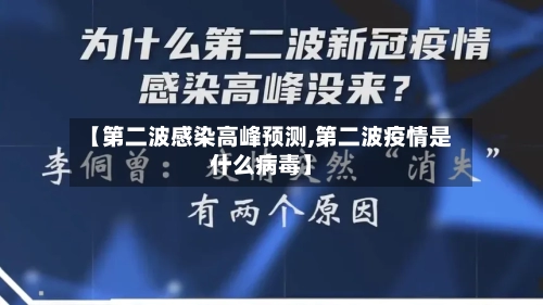 【第二波感染高峰预测,第二波疫情是什么病毒】-第3张图片