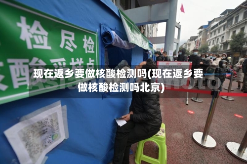 现在返乡要做核酸检测吗(现在返乡要做核酸检测吗北京)-第2张图片