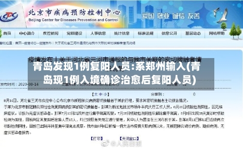 青岛发现1例复阳人员:系郑州输入(青岛现1例入境确诊治愈后复阳人员)-第3张图片