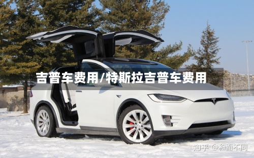 吉普车费用/特斯拉吉普车费用-第3张图片