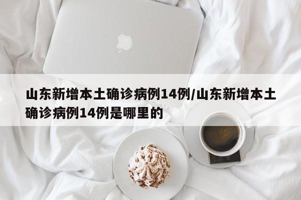 山东新增本土确诊病例14例/山东新增本土确诊病例14例是哪里的